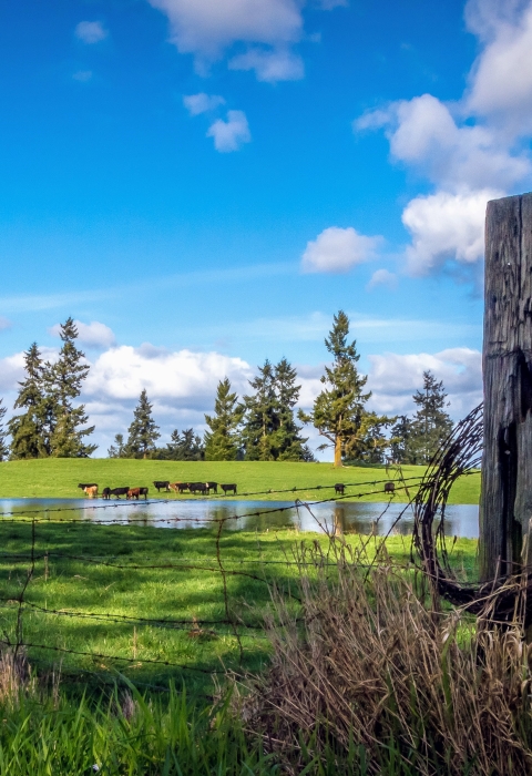 Collaborative Conservation In The Pacific Northwest | U.S. Fish ...